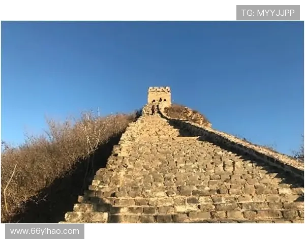 北京快三开奖结果预测技巧与最新走势分析 北京快三开奖结果预测技巧与最新走势分析